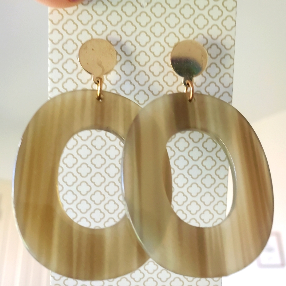 Driftwood-Look Acrylic Multi-Tonal Brown Tan Dangle Oval Earrings